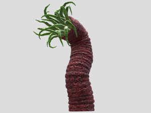 Beast tentacle 3D Модель