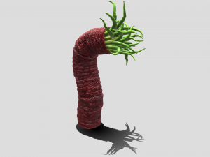 Beast tentacle 3D Модель