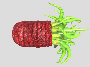 Beast tentacle 3D Модель