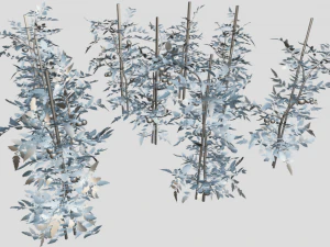 Tomato plantation 3D Model