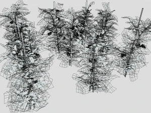 Tomato plantation 3D Model