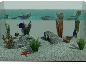 aquarium Modèle 3D