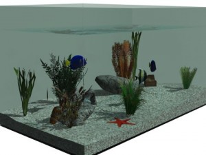 aquarium Modello 3D