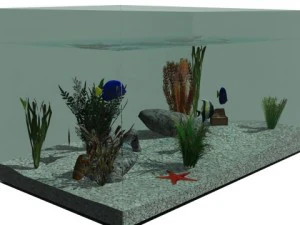 aquarium 3D Model
