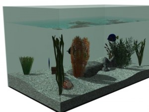 aquarium Modello 3D