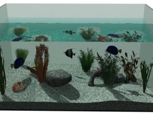 aquarium Modello 3D