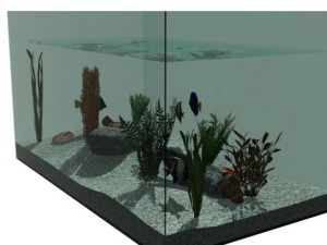aquarium Modello 3D