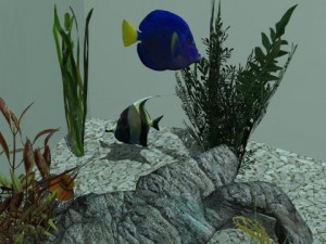 aquarium Modello 3D
