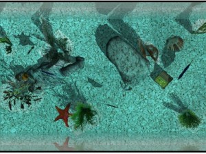 aquarium Modello 3D