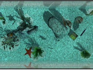 aquarium 3D Model