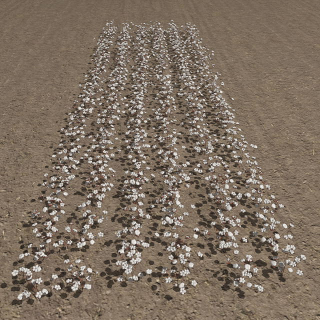 Cotton plantation Modelo 3D .c4d .max .obj .3ds .fbx .stl .blend 