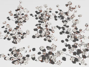 Cotton plantation 3D Model