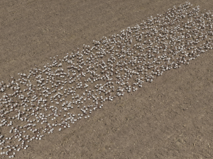 Cotton plantation Modelo 3D