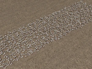 Cotton plantation 3D Model