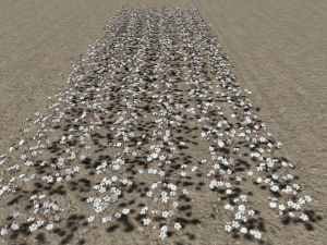 Cotton plantation Modelo 3D
