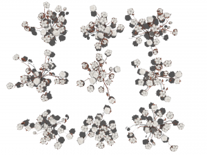 Cotton plantation Modelo 3D