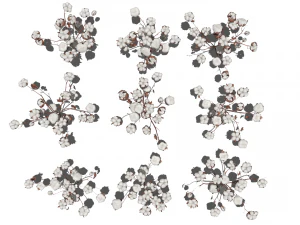 Cotton plantation 3D Model