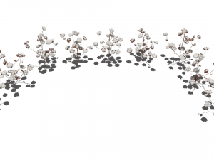 Cotton plantation Modelo 3D