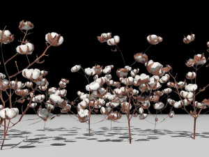 Cotton plantation 3D Model