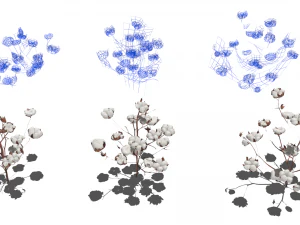 Cotton plantation 3D Model