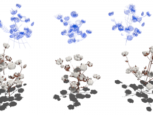 Cotton plantation Modelo 3D