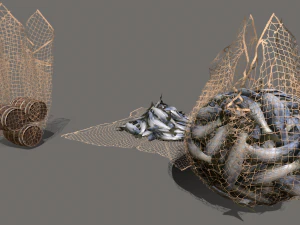 Rede de pesca Modelo 3D