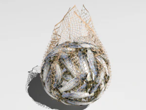 Rede de pesca Modelo 3D