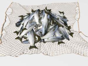 Fishing net 3D Модель