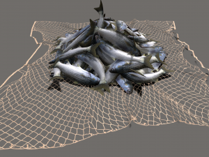 Fishing net 3D Модель