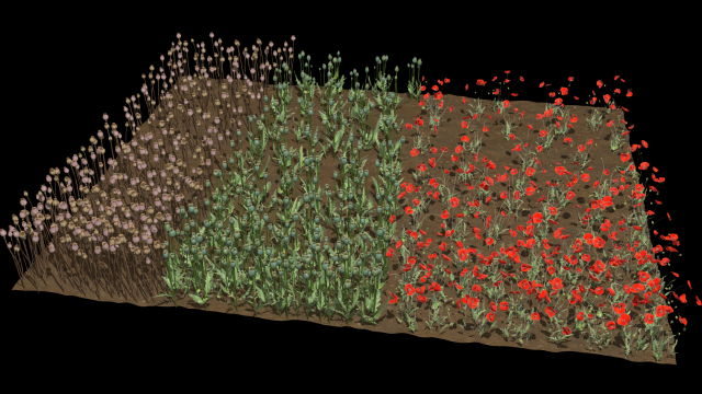 Poppy field 3D-Modell .c4d .max .obj .3ds .fbx .stl .blend 