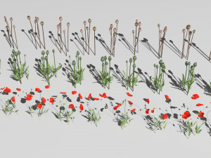 Poppy field 3D-Modell