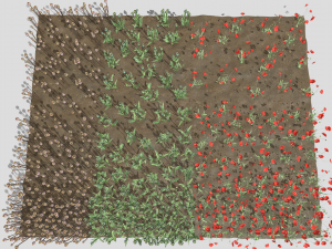 Poppy field 3D-Modell