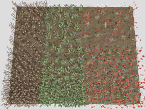 campo de amapolas Modelo 3D