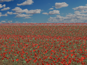 Poppy field 3D-Modell
