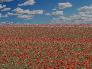 campo de amapolas Modelo 3D