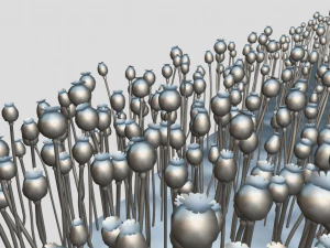 campo de amapolas Modelo 3D