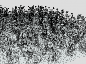 Poppy field 3D-Modell