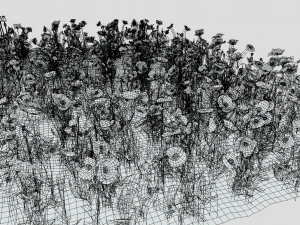 campo de amapolas Modelo 3D