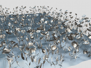 Poppy field 3D-Modell