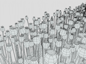 Poppy field 3D-Modell