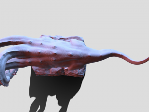 Hydra playing fetch Model 3D