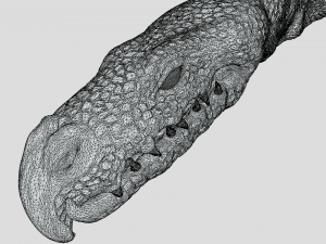 Hydra playing fetch Model 3D