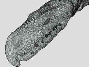 Hydra playing fetch 3D Model