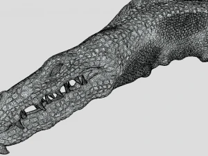 Wounded Hydra 3D Model