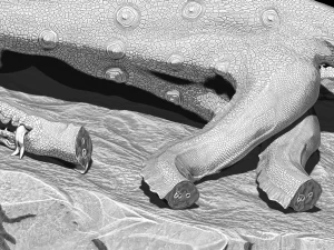 데드 히드라 3D 모델