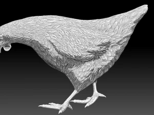 Chickens for 3d printing 3D Model
