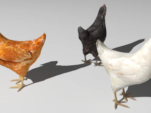 Chickens for 3d printing 3D Model