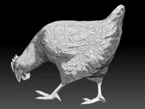 Chickens for 3d printing 3D Model