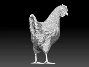 Chickens for 3d printing 3D Model