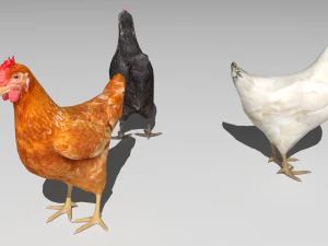 Chickens for 3d printing 3D Model
